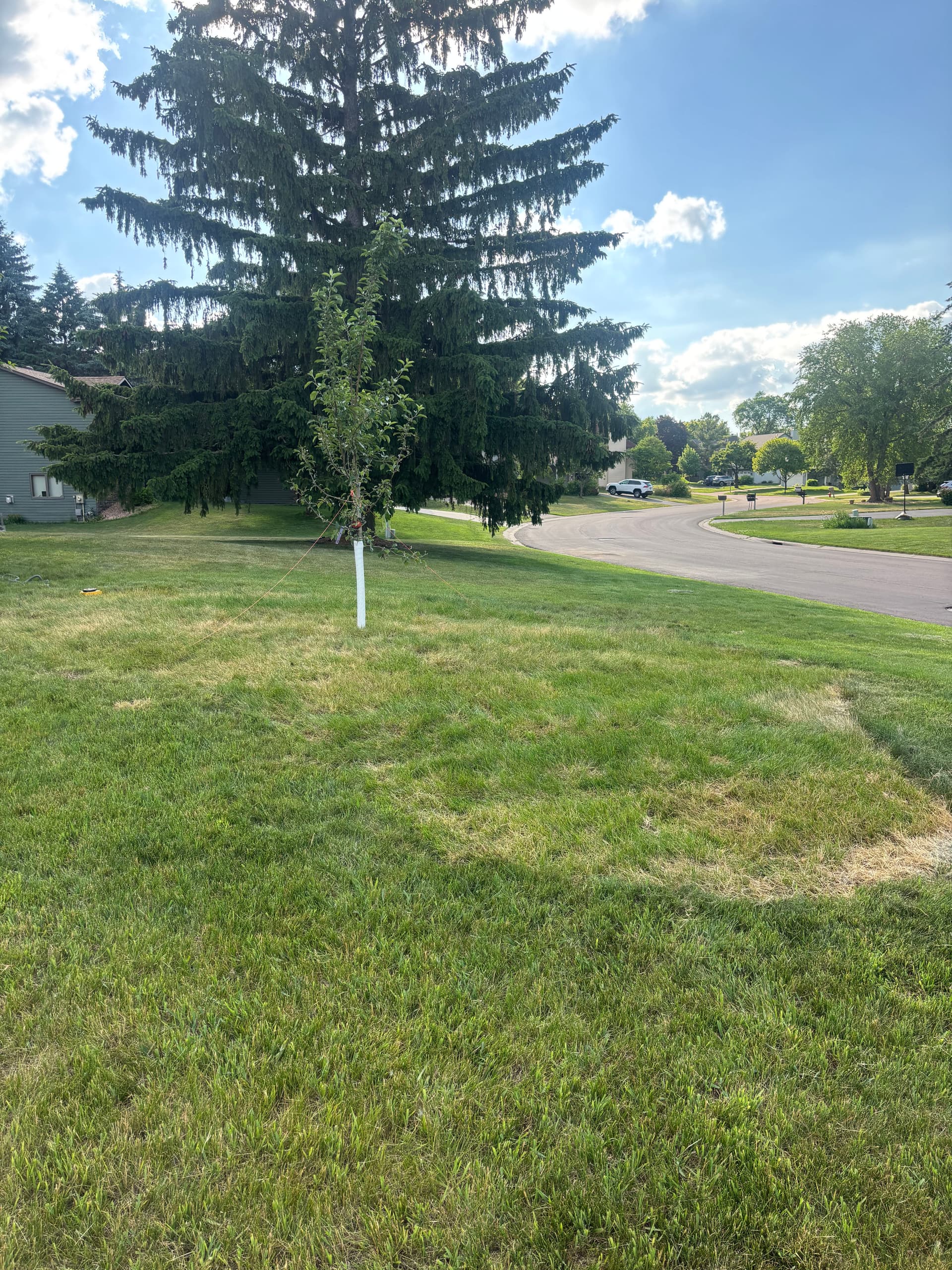 Gallery photos for Failing Timber Wall Gets a Versa-Lok Upgrade with Sod and a New Apple Tree: Image #4