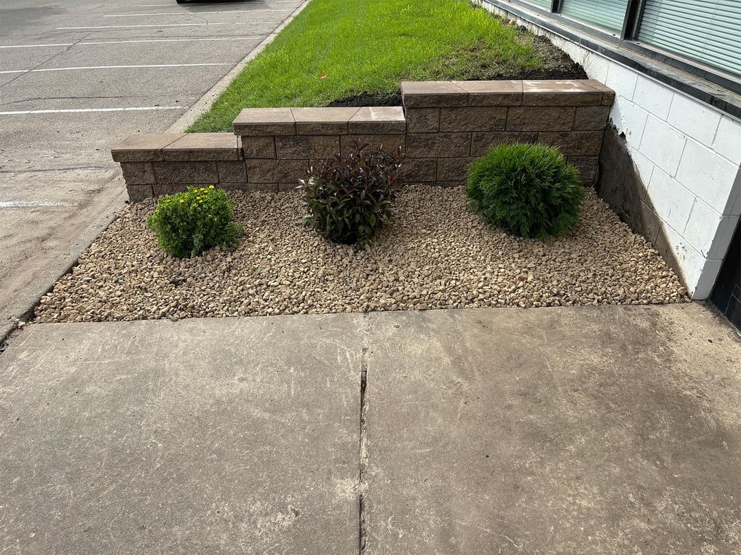 Landscaped stones with three decorative plants by a building's sidewalk.