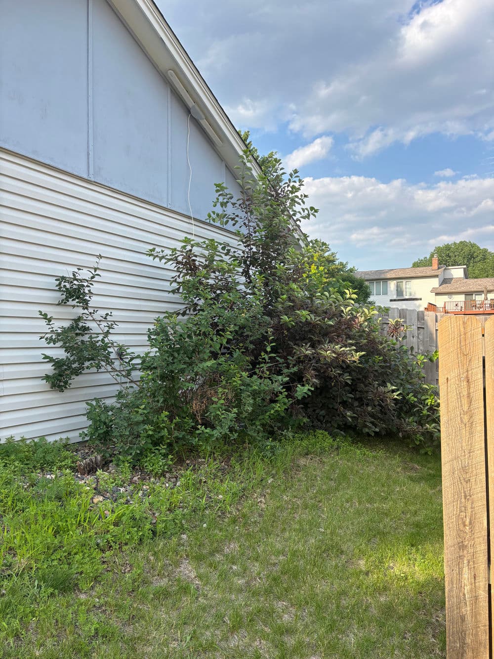 Gallery photos for Front Yard Transformation in Apple Valley: Image #1