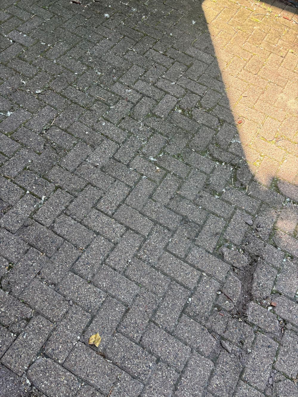 Gallery photos for Stunning New Herringbone Driveway in Minnetonka: Image #2