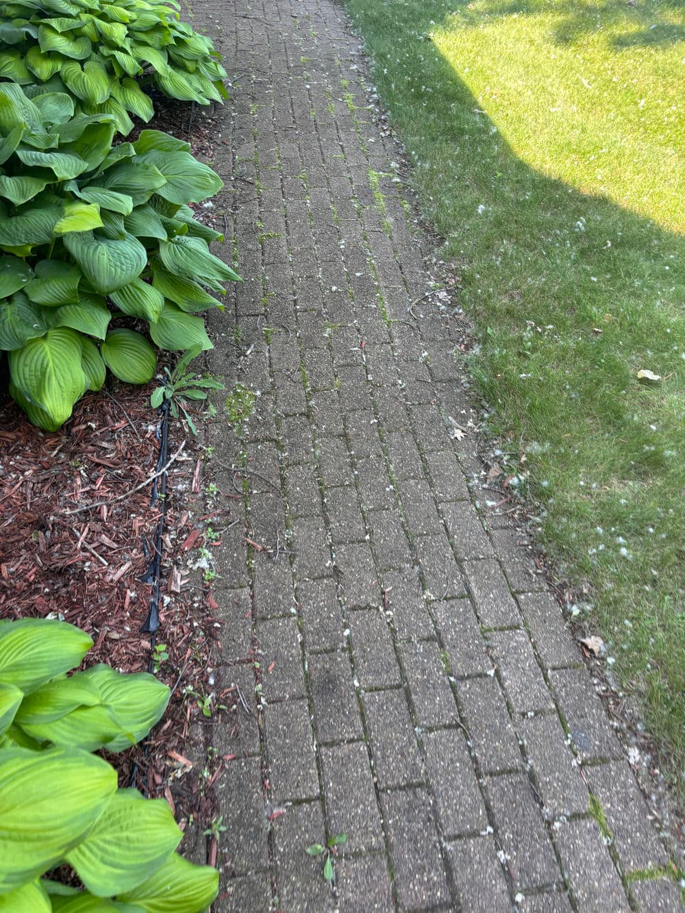 Gallery photos for Stunning New Herringbone Driveway in Minnetonka: Image #5