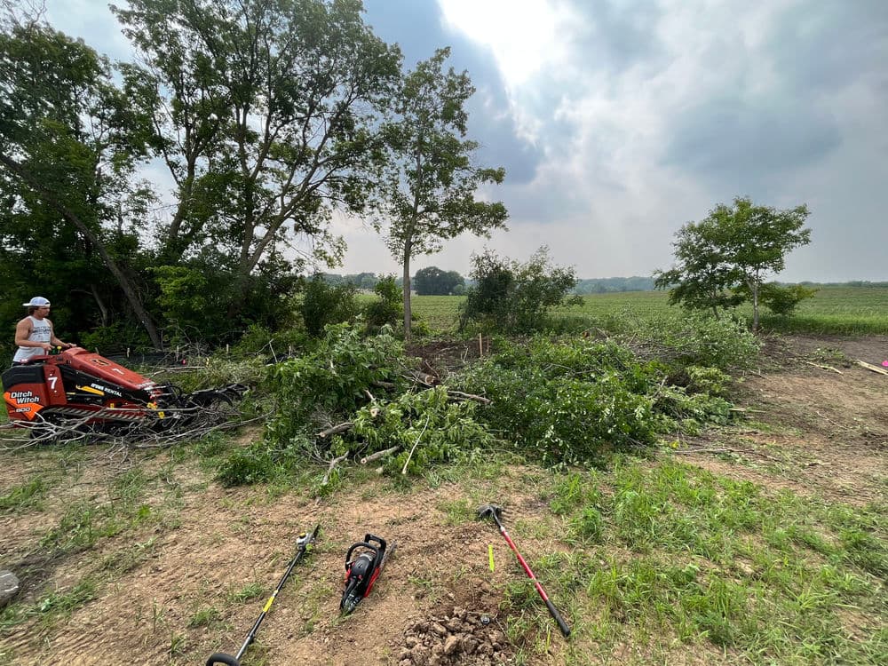 Project Land Clearing for a New Build Home in Rosemount image